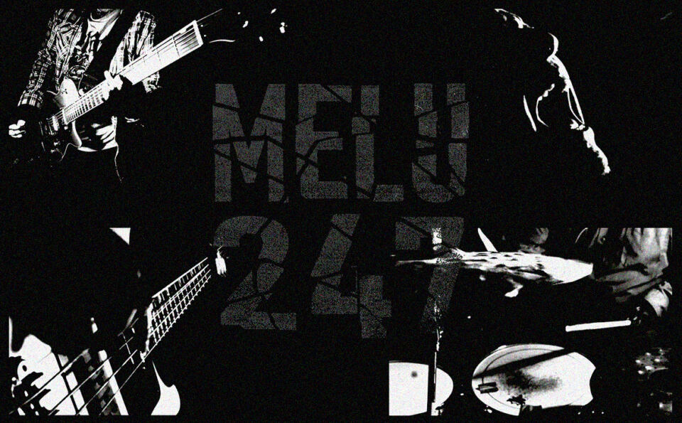 MELU247