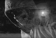 Wildride julkaisi ”After The Fall” -kappaleen