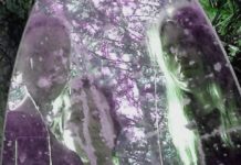 Doom metal -yhtye Chaotic Sanityn EP ”Mental Portrait” kuunneltavissa