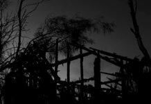 Aranin uusi levy ”Veden Varjoista” kuunneltavissa