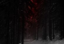 Counting Hours – The Will (2020)