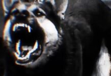 Onslaughtin uusi lyriikkavideo ”Strike Fast Strike Hard” katsottavissa