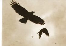 Ashes Of Ares julkaisi Kansas-coverin “Dust In The Wind”