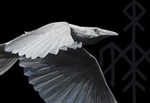 Viikingit-sarjasta tuttu Wardruna juhlistaa uutta albumiaan uniikilla virtuaalikeikalla Wardruna: First Flight of The White Raven