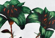 Strike At Once – Bloom EP (2021)