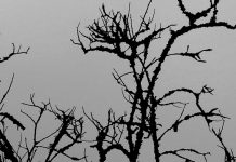 Syksyn Syvä Pääty: 5 albumia synkimmän vuodenajan viimeisille viikoille.