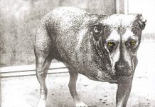 Alice In Chains – Alice In Chains (1995)