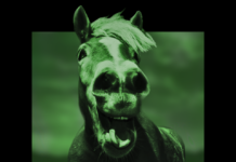 Fuzz rock -kvartetti Heezer palaa uuden musiikin ääreen ”Horse”-singlen myötä