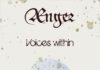 Ænger julkaisi toisen singlensä “Voices within”