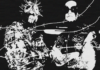 Cruciator julkaisi ensisinglen tulevalta EP:ltään