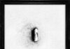 Lowhill julkaisi uuden singlen “Sertraline”