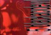 Danzig – Blackacidevil (1996)